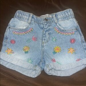 Embroidered Denim Women Shorts